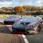 Ultimate Lamborghini vs Ferrari Race Car Experience Both Cars on Track
